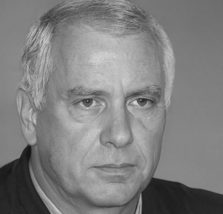 Ritratto di Matteo Bergamaschi