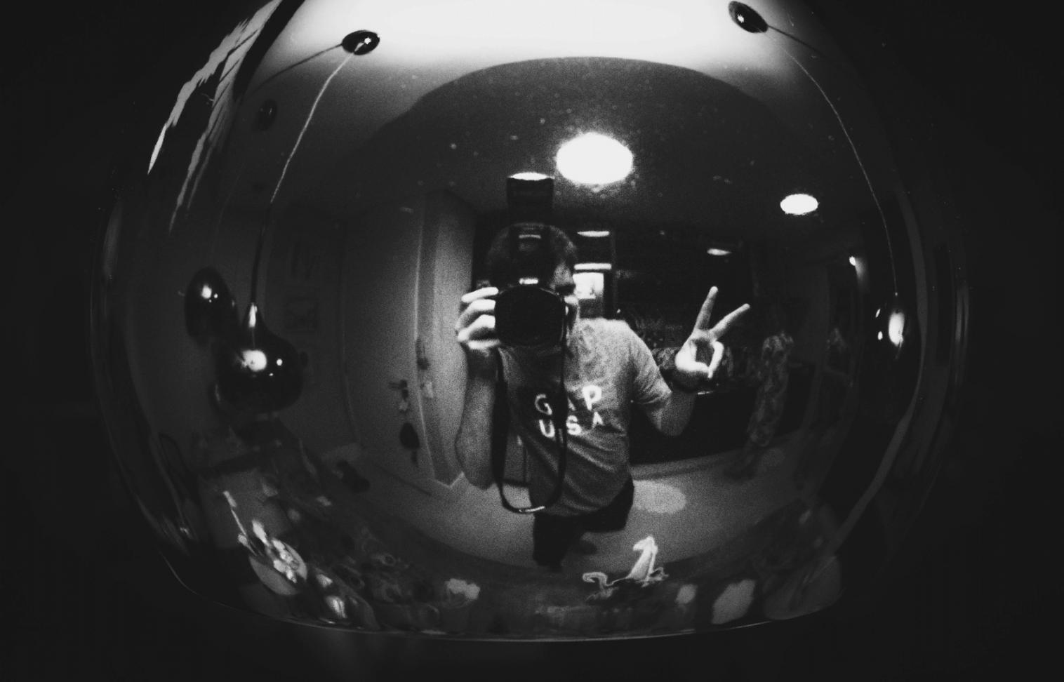 Dettaglio macro di elementi naturali che mostra la complessità del mondo microscopico